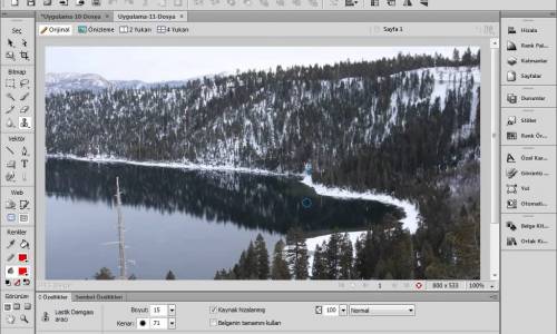 12 Fireworks Bitmap araçları -4 Lastik Damgası aracı