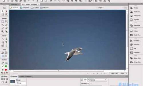 4 FW Seç araçları 2  Ölçek, Eğritme, Deformasyon ve 9 dilimli ölçek