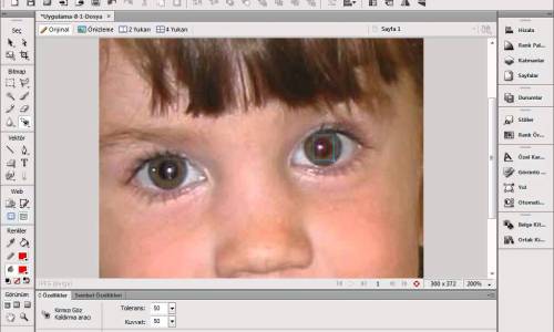 14 Fireworks Bitmap araçları -6 Kırmızı göz kaldırma aracı