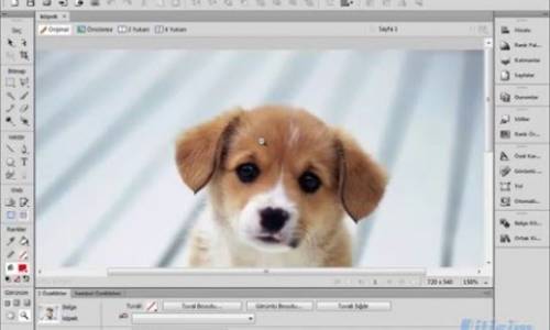 2-Fireworks CS6 Görünüm Araçları ve Dosya Açma